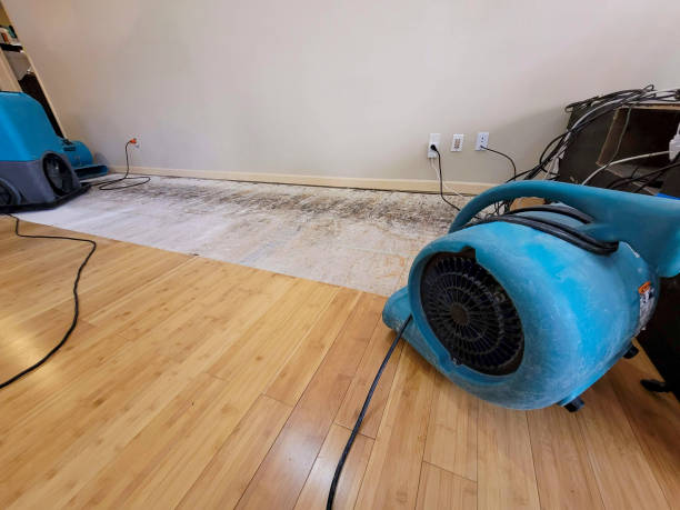 Professional Structural Drying technician working in Coopers Mills, ME